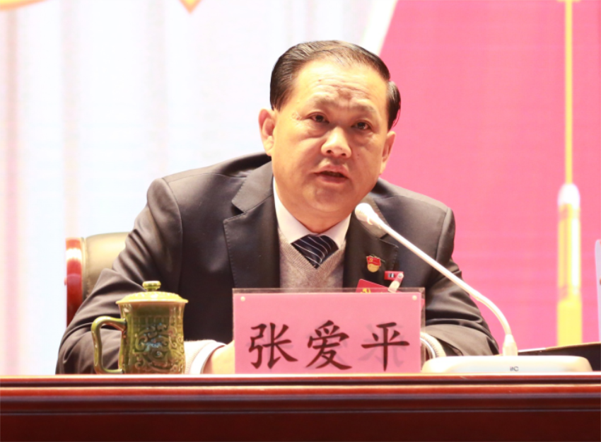 张爱平同志宣读中共B体育-B体育（中国）第一届党委成员分工及纪委成员分工